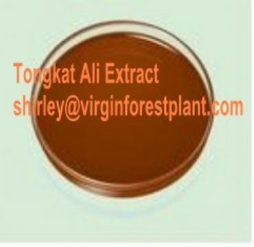 Tongkat Ali Extract(Shirley At Virginforestplant Dot Com)